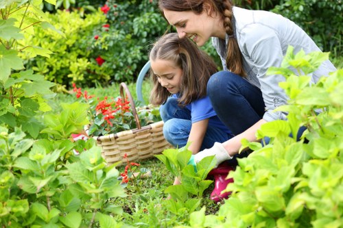Gardening Cricklewood team assessing a terraced garden
