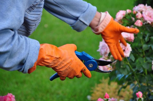 Volunteer gardener preparing raised beds in a community plot