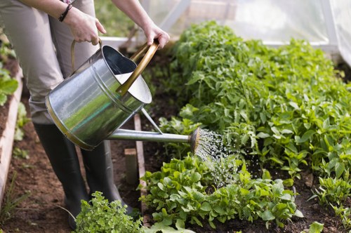 Team of Gardening Cricklewood professionals at work